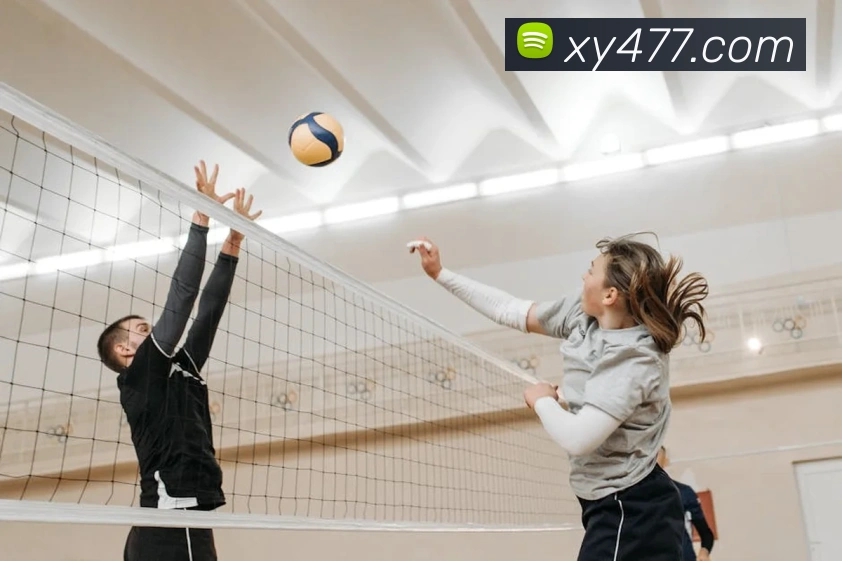 体育App